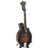 The Loar LM-520-VS Mandolin