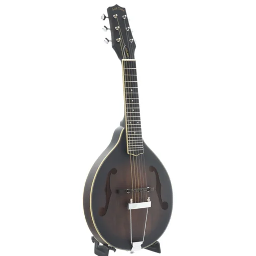 Manditar Instrument Gold Tone A-6 Manditar - Guitar Shop Brasil