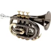 Allora MXPT-5801-BK Trompete Pocket Black Nickel