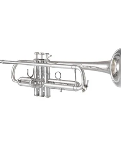 Trompete Bach 170 Stradivarius Série 43 com Campana de 43mm