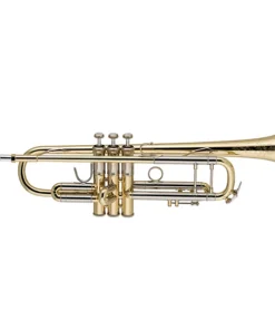 Bach 190 Stradivarius 37 Series Professional Bb Trumpet
