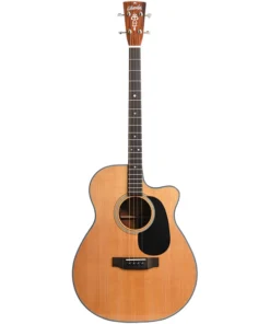Blueridge BR-40TCE