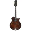 Eastman ER-M El Rey Mandolin Guitarra