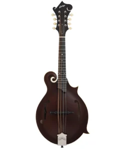 Collings MF F-Model Mandolin Sheraton Brown