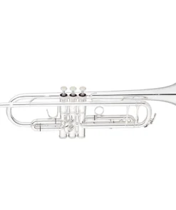 Trompete Eastman ETR520S Advanced Series Bb com Bocal e Case