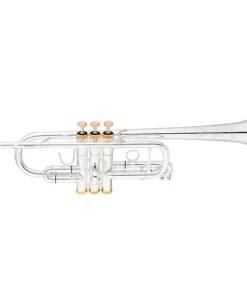 Trompete Eastman ETR530GS Série Avançada