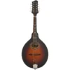 Mandolin Eastman MD304E-SB