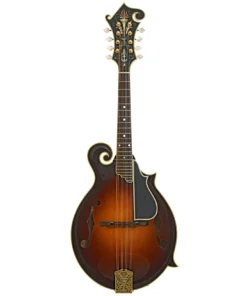 Ellis F-5 Reserve Mandolin (2016)