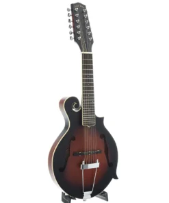 Gold Tone F-12 Manditar 12 Cordas