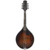 Mandolin Northfield Workshop NFM-A5 Model M