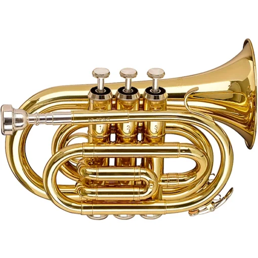 Stagg WS-TR245S Trompete Pocket Bb
