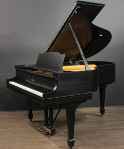 Piano de Cauda Steinway Model M 5'7''