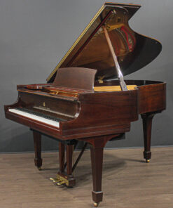 Piano de Cauda Steinway Modelo M 5'7''