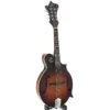 The Loar Honey Creek LM-310F